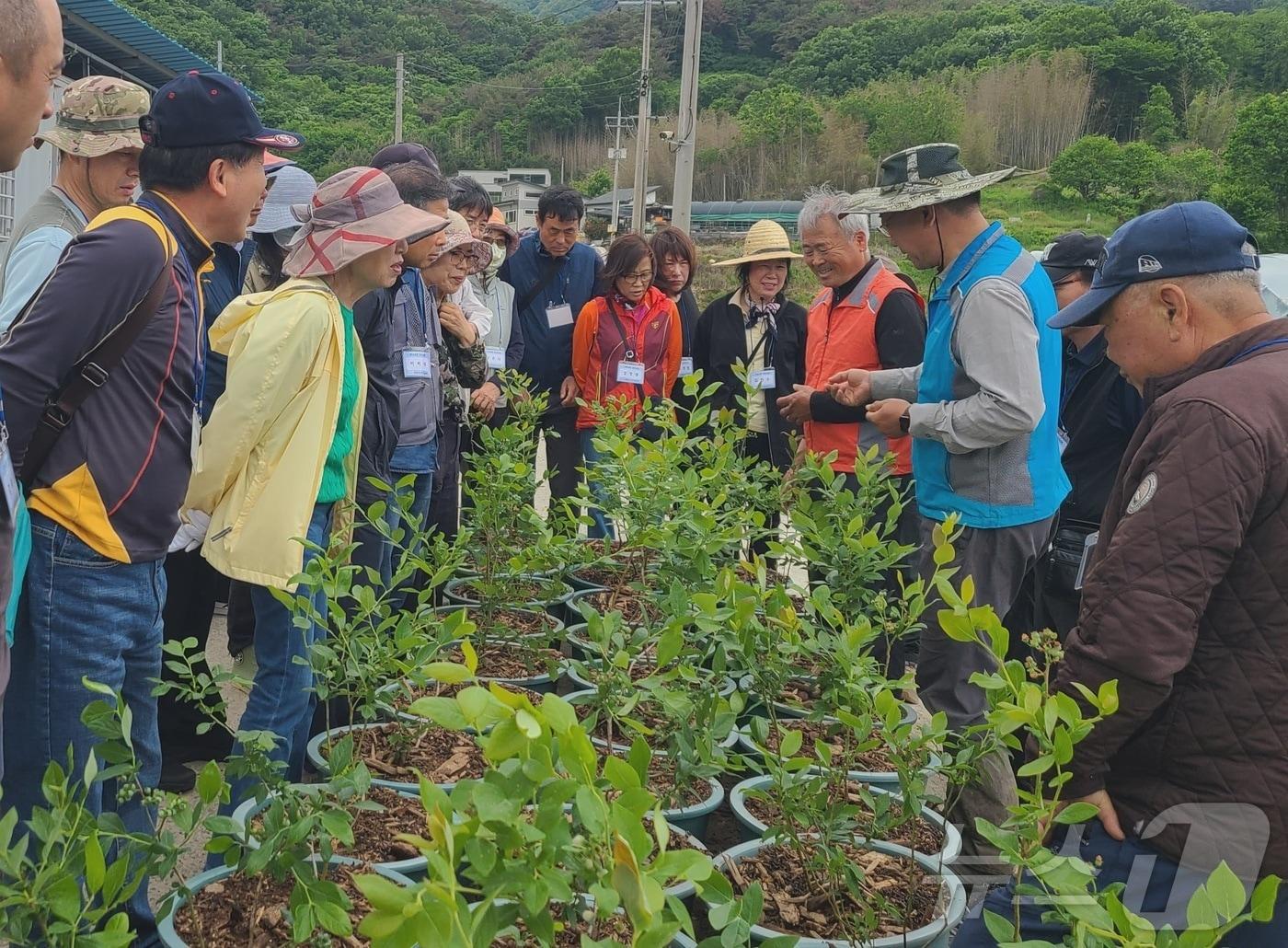 본문 이미지 - 의령군의 귀농·귀촌 교육(의령군 제공. 재판매 및 DB금지).