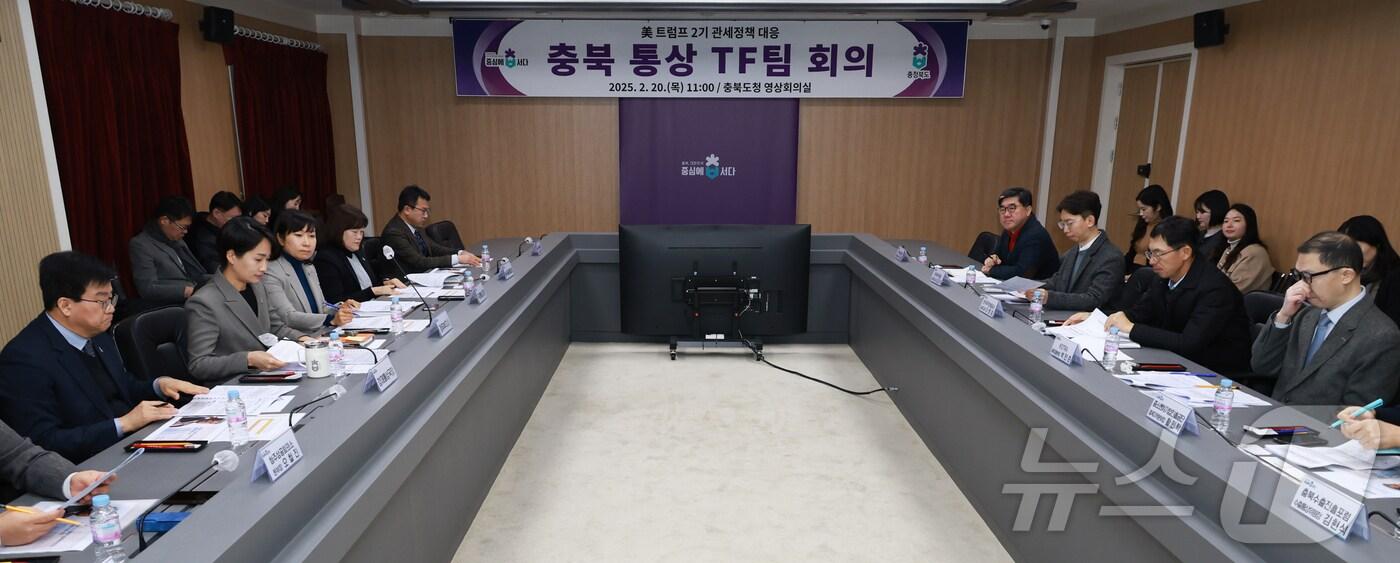 본문 이미지 - '트럼프 2기 관세 정책 대응 통상 TF팀' 회의(충북도 제공. 재판매 및 DB금지)