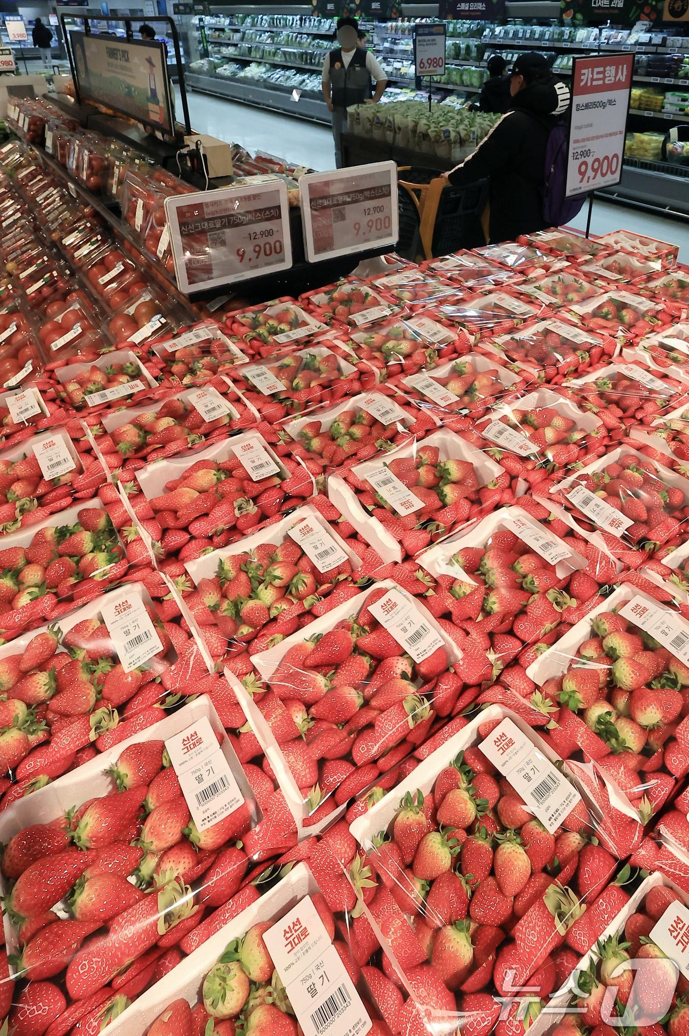 본문 이미지 - 20일 오전 서울 시내 대형마트에 딸기가 진열되어 있다. 한국은행에 따르면 올해 1월 생산자물가지수는 전월 대비 0.6% 상승했으며 생산자물가 상승률이 높았던 품목은 농림수산품, 그중에서도 과일을 비롯한 농산물로 딸기&#40;전월 대비 57.7%&#41;, 감귤&#40;26.5%&#41; 등의 상승률이 높았다. 2025.2.20/뉴스1 ⓒ News1 박정호 기자