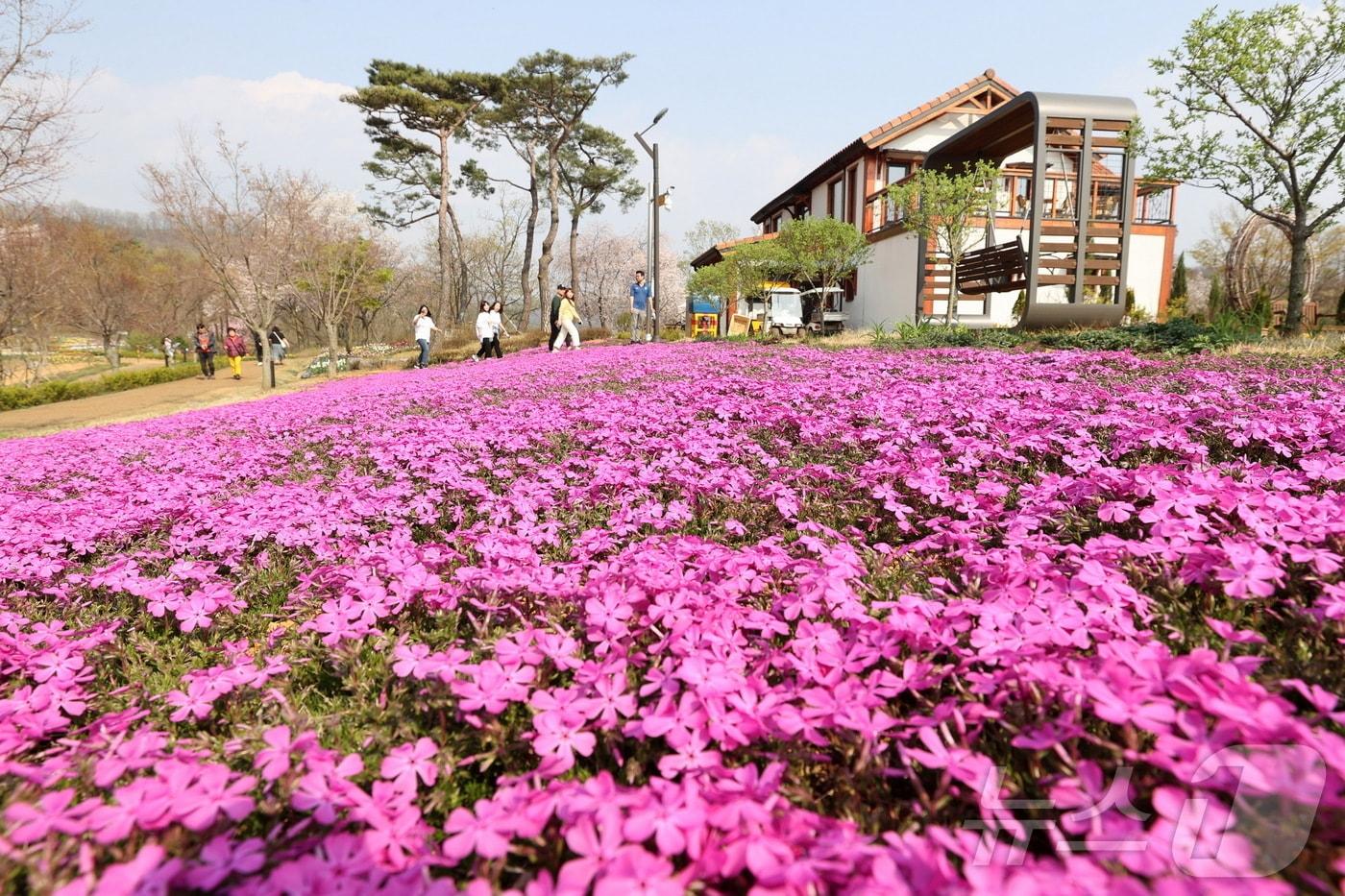 본문 이미지 - 전북자치도 임실군은 3월부터 4월까지 두 달간 옥정호 출렁다리와 붕어섬 생태공원에 반려견과의 동반 입장 시범 사업을 시행한다. 사진은 생태공원.(임실군제공. 재판매 및 DB금지)/뉴스1