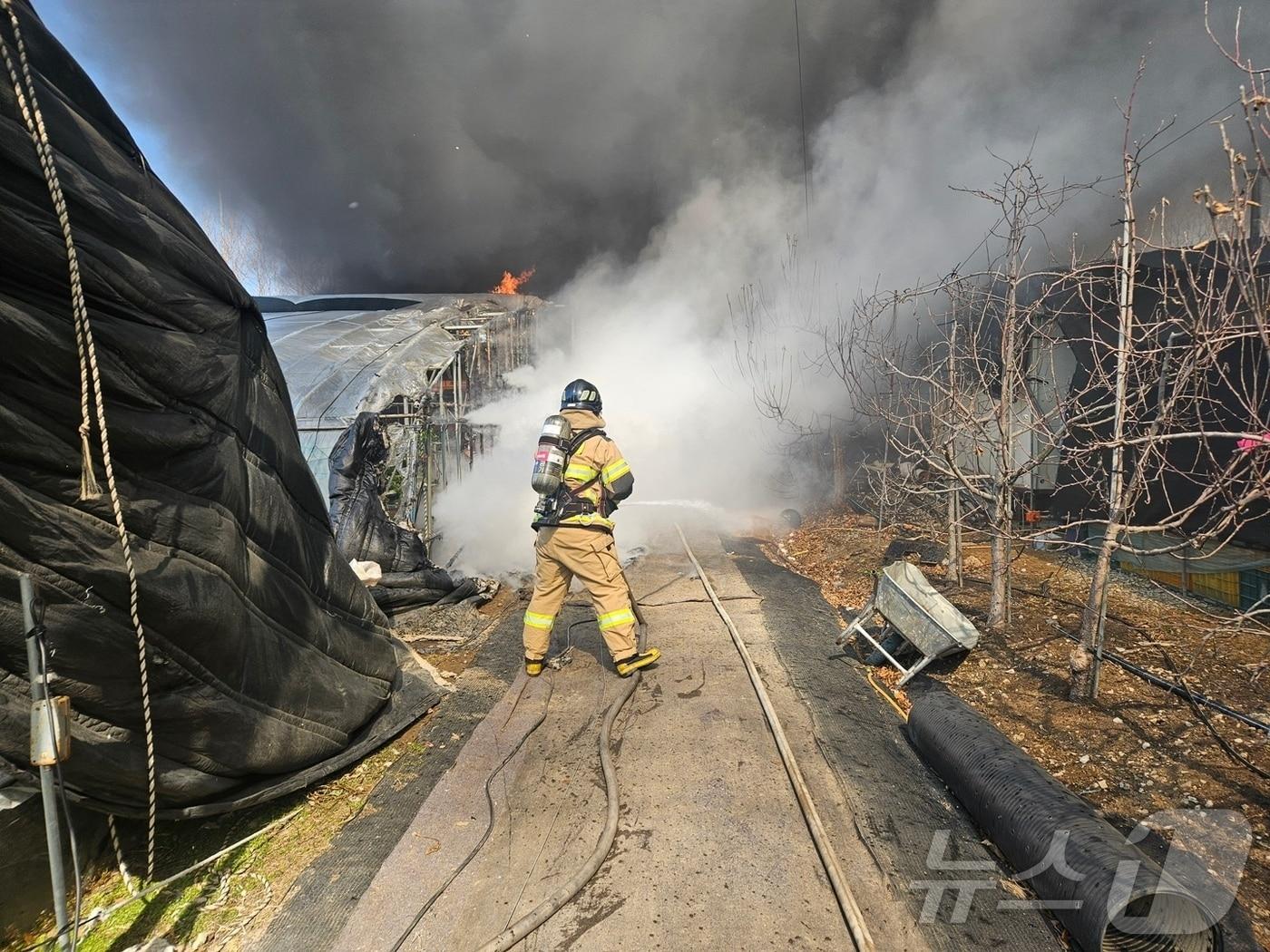 본문 이미지 - 20일 밀양시 상남면 기산리의 한 딸기농장 비닐하우스에서 불이 나 출동한 소방관들이 진화에 나서고 있다.&#40;경남소방본부 제공. 재판매 및 DB금지&#41;