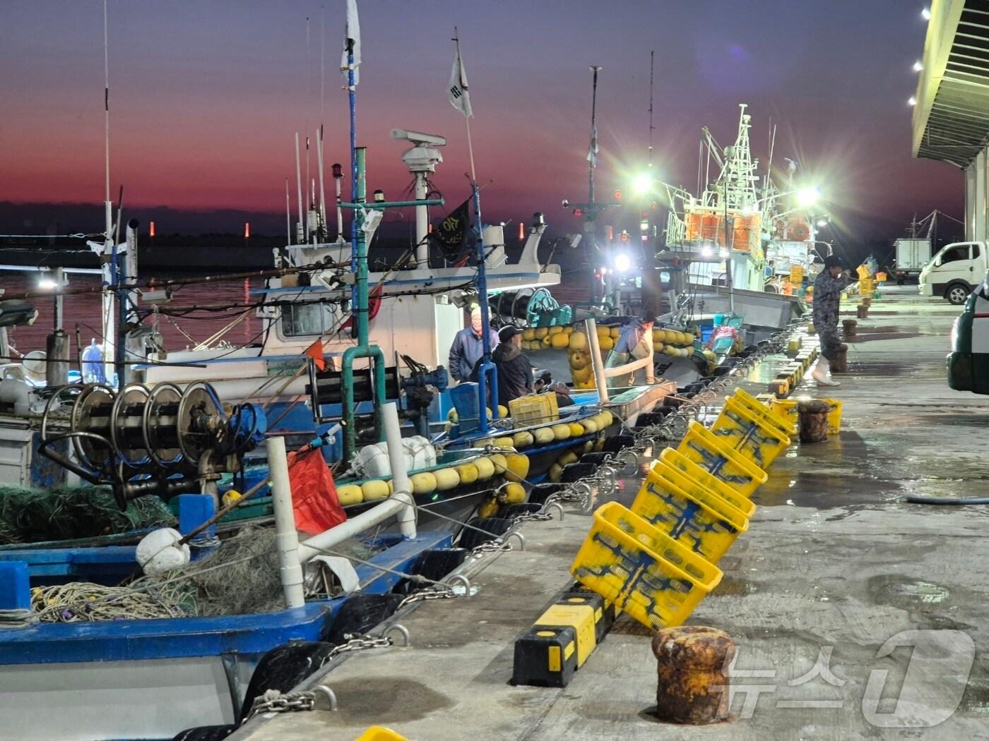 본문 이미지 - 강원 주문진항의 새벽 풍경.&#40;뉴스1 DB&#41; ⓒ News1 윤왕근 기자