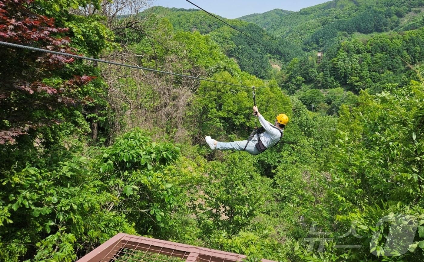 증평 좌구산휴양랜드 줄타기/뉴스1