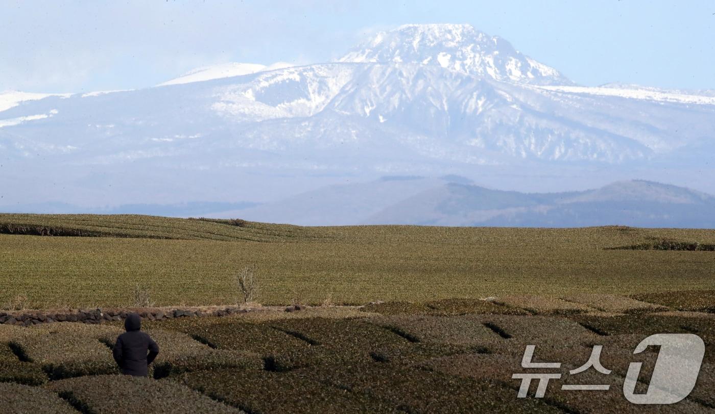 자료사진.ⓒ News1 