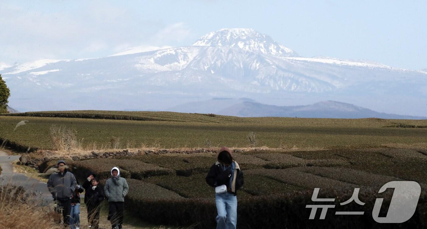 본문 이미지 - 제주 서귀포시 언덕면 오설록 녹차밭을 찾은 관광객들이 눈 쌓인 한라산을 배경으로 막바지 겨울 정취를 즐기고 있다. 2025.2.21/뉴스1 ⓒ News1 오현지 기자