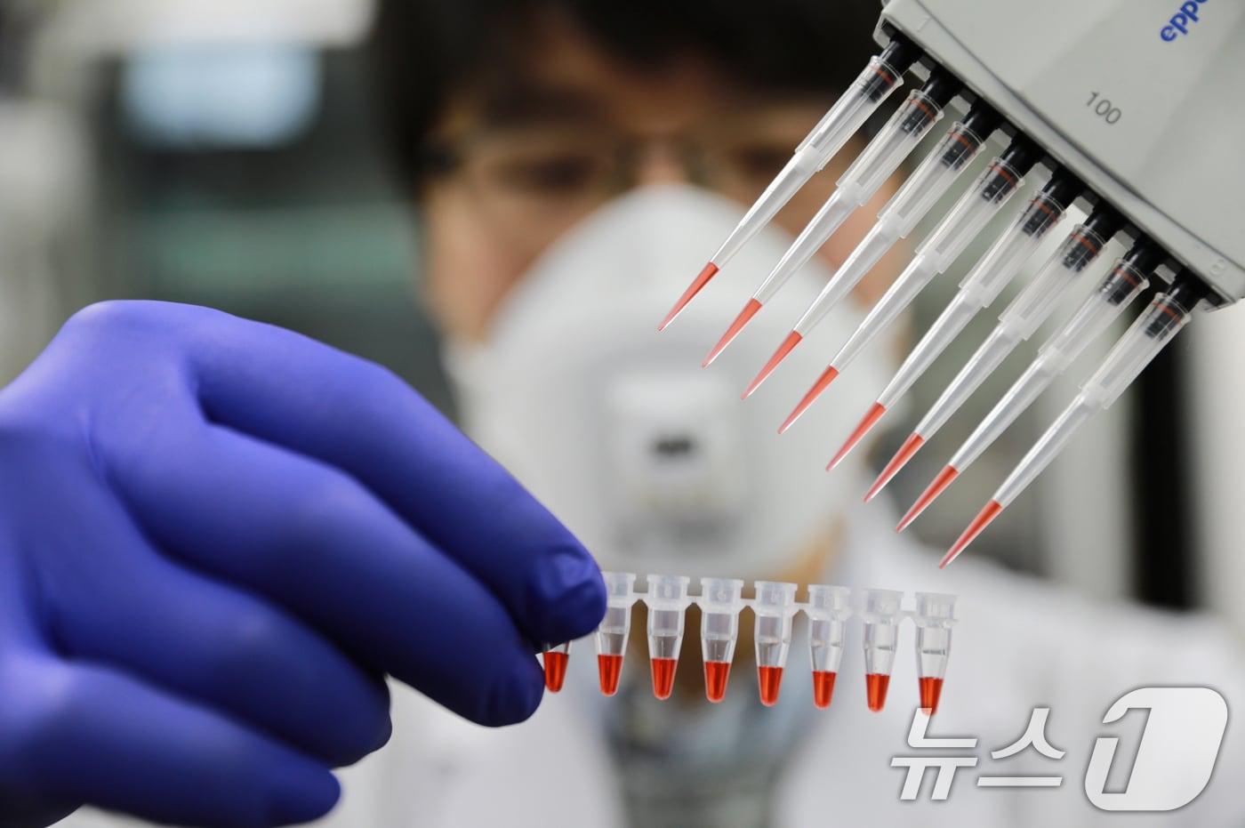 광주보건환경연구원 감염병 검사.&#40;광주시 제공. 재판매 및 DB 금지&#41;/뉴스1 