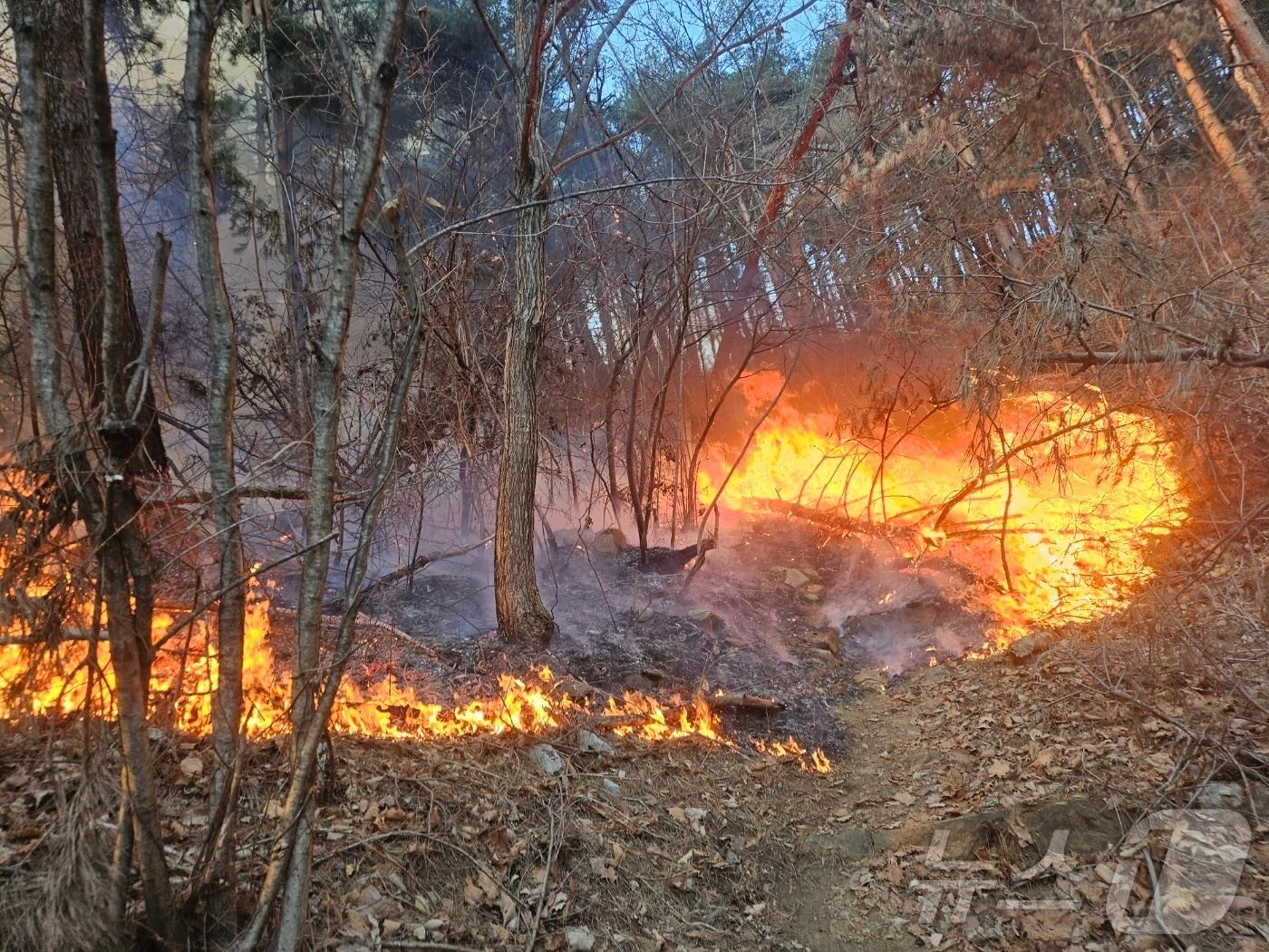본문 이미지 - 21일 강원 강릉 구정면 제비리 산불 현장.(동부지방산림청 제공, 재판매 및 DB 금지) 2025.2.21/뉴스1