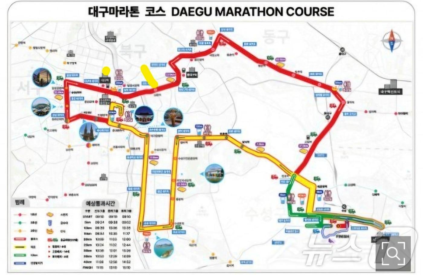 대구마라톤 코스/뉴스1
