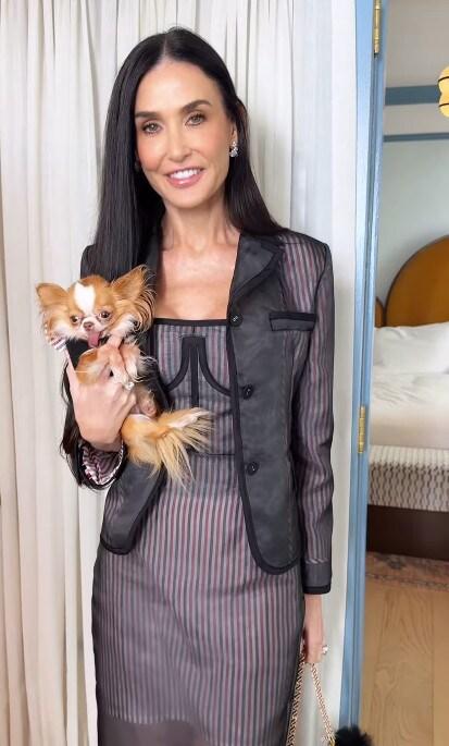 본문 이미지 - 사진=브래드 고레스키 인스타그램