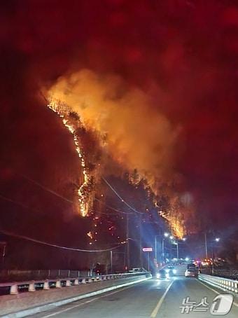본문 이미지 - 지난 21일 강원도 여량면 유천리 야산에서 산불이 발생해 불길이 치솟고 있다.&#40;산림청 제공. 재판매 및 DB 금지&#41; 2025.2.21/뉴스1 ⓒ News1 민경석 기자