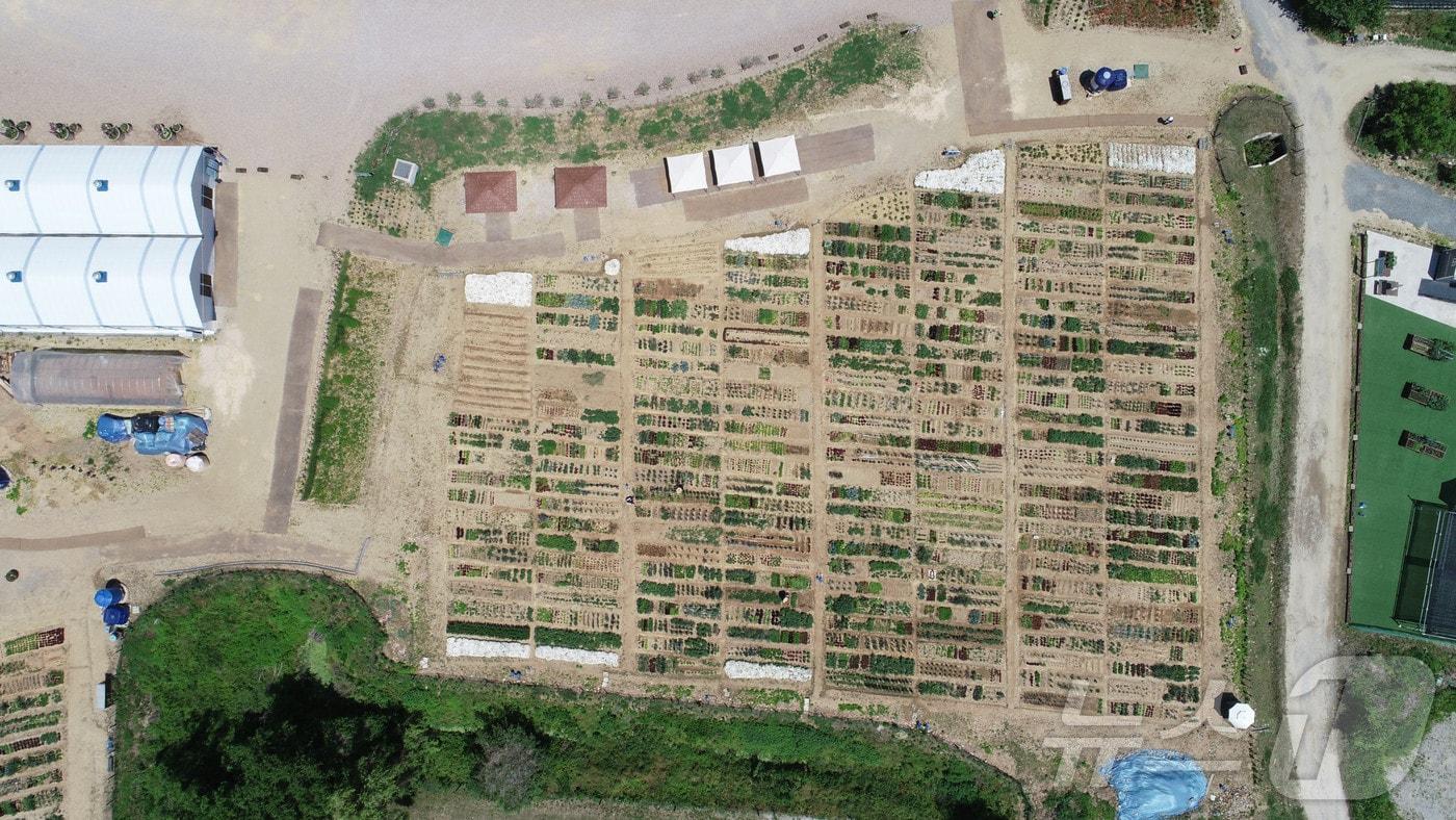 용인시민농장 전경.(용인시 제공)