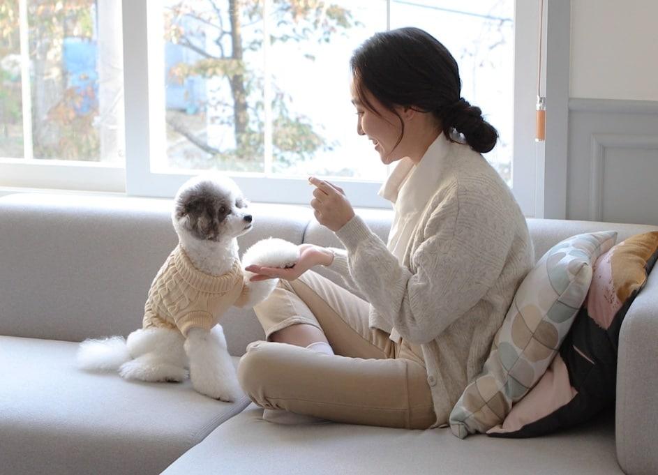 본문 이미지 - 수의영양전문가들은 노령기에 접어든 반려동물에게 항산화제 영양제를 먹일 것을 권장한다. (사진 이미지투데이) ⓒ 뉴스1