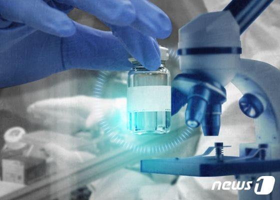 본문 이미지 - ⓒ News1 DB