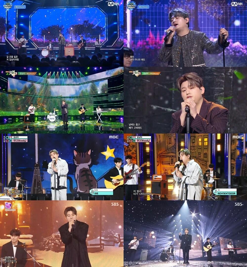 본문 이미지 - 우디