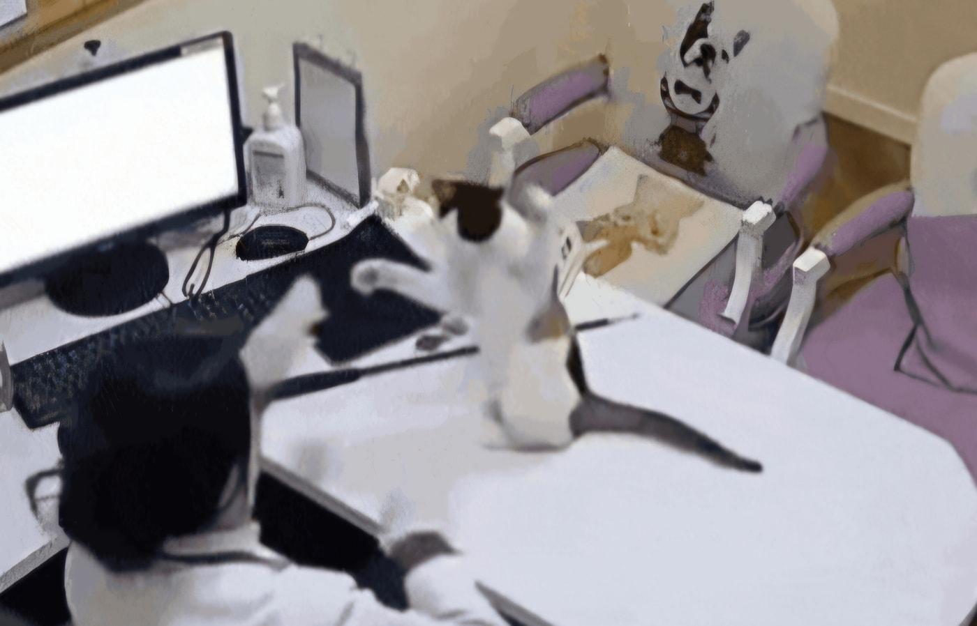 고양이와 장난 치고 있는 수의사(온라인 커뮤니티 갈무리) ⓒ 뉴스1