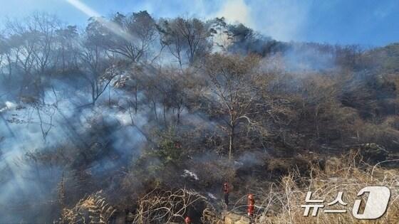 본문 이미지 - 충북 단양군 영춘면 상리 산불.(단양소방서 제공. 재판매 및 DB금지)/뉴스1