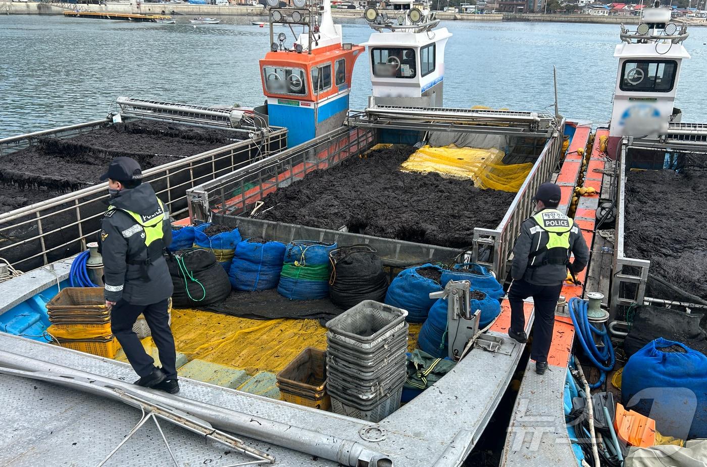 본문 이미지 - 풍랑주의보 속 무리하게 조업한 양식장 관리선의 모습. (목포해경 제공. 재판매 및 DB 금지)/뉴스1
