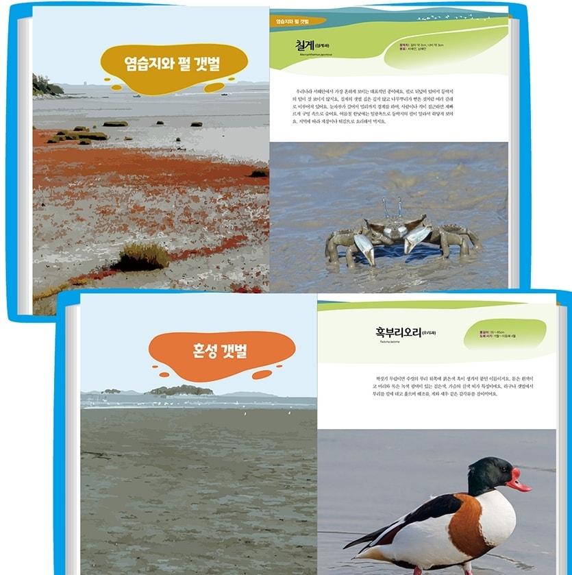 본문 이미지 - 댕글댕글~ 갯벌 한 바퀴