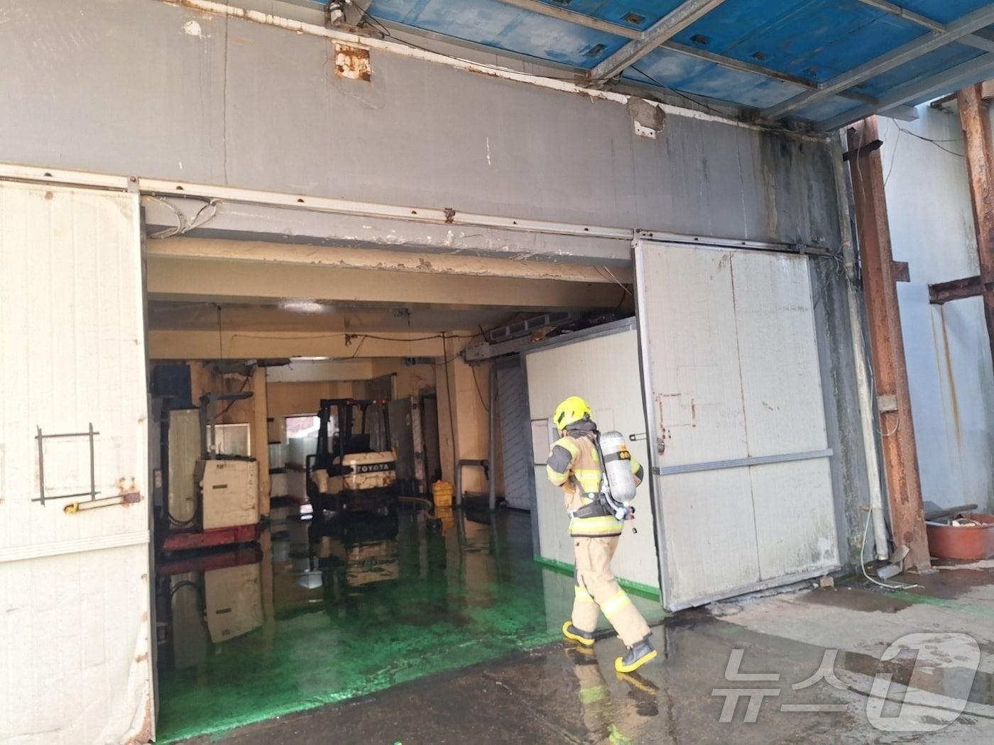 본문 이미지 - 오전 7시58분 쯤 제주시 한림읍 한림리 냉동수산 가공업장에서 암모니아 가스 누출 사고가 발생해 소방당국이 누출 위치를 찾고 있다.(제주도소방안전본부 제공. 재판매 및 DB 금지)