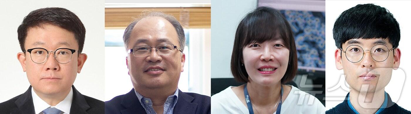 본문 이미지 - GIST 생명과학부 김용철·박철승·진미선, 박수빈 박사과정생(왼쪽부터)(지스트 제공)/뉴스1 