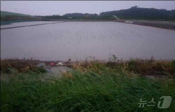 본문 이미지 - 지난해 장마로 인해 파주시 저지대 농지가 침수된 모습. (파주시 제공, 재판매 및 DB금지)