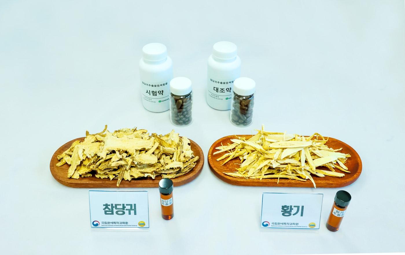 참당귀, 황기 절편과 인체적용시험 약 (농촌진흥청 제공) 2025.02.26 /뉴스1