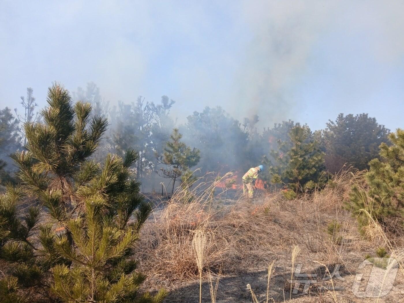 본문 이미지 - 26일 오후 3시 26분쯤 인천시 중구 남북동 오성산에서 불이 났다.(인천소방본부 제공)2025.2.26/뉴스1