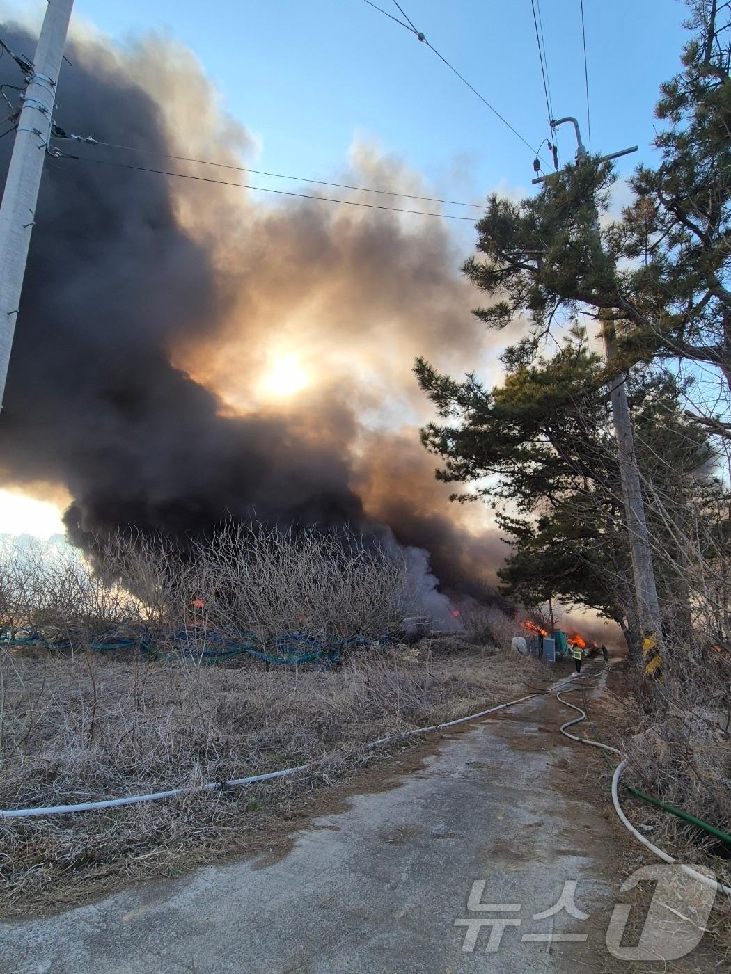 본문 이미지 - 26일 오후 4시 19분쯤 전남 나주시 봉황면 들판에 쌓인 폐자재에서 불이 나 소방당국이 진화하고 있다.(전남 나주소방 제공.재판매 및 DB금지)2025.2.26/뉴스1