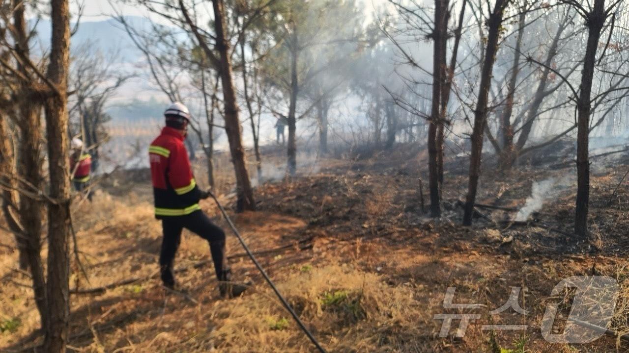 본문 이미지 - 26일 오후 3시 23분쯤 전남 고흥군 금산면 야산에서 불이 나 산림당국이 진화 작업을 벌이고 있다.(전남도 제공. 재판매 및 DB 금지)2025.2.26/뉴스1