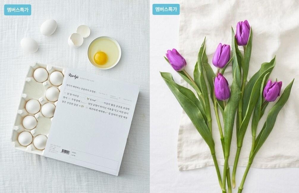 본문 이미지 - (컬리 제공). 