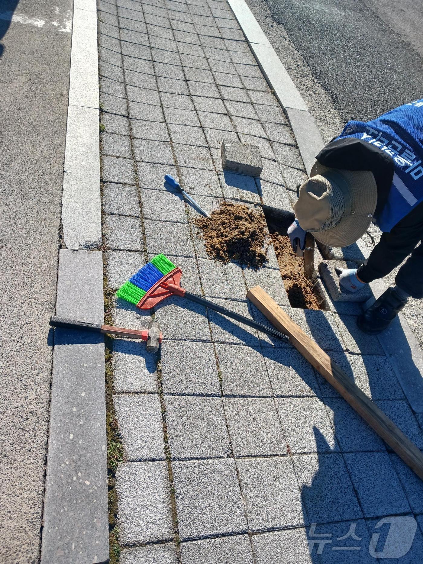 본문 이미지 - 울산 동구가 지난해부터 운영 중인 화정마을관리소가 보도블록 소수리를 하는 모습.(울산광역시동구청제공. 재판매 및 DB 금지)