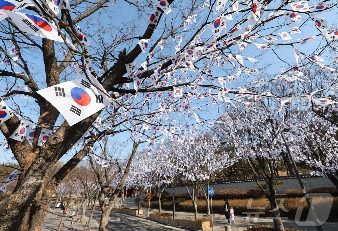 3.1절을 이틀 앞둔 27일 오후 서울 용산구 효창공원에 태극기 거리가 조성돼 있다. 2025.2.27/뉴스1 ⓒ News1 김도우 기자