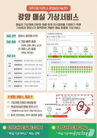 본문 이미지 - '광양 매실 기상서비스' 홍보 리플렛 