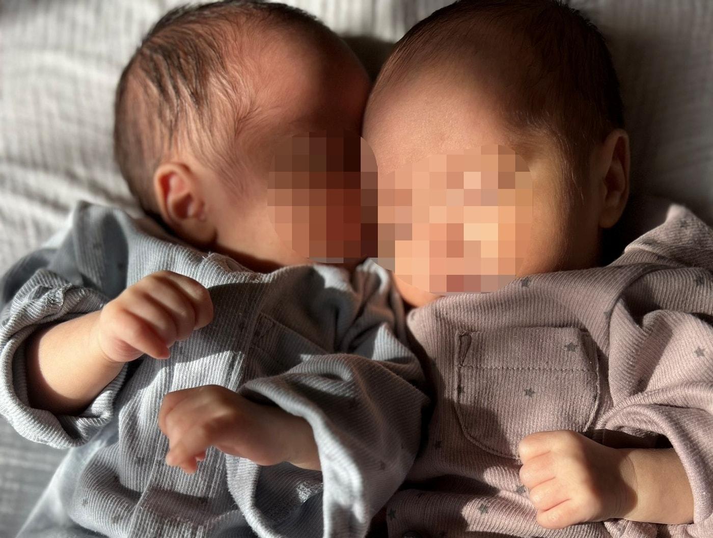 본문 이미지 - (엑스 갈무리)