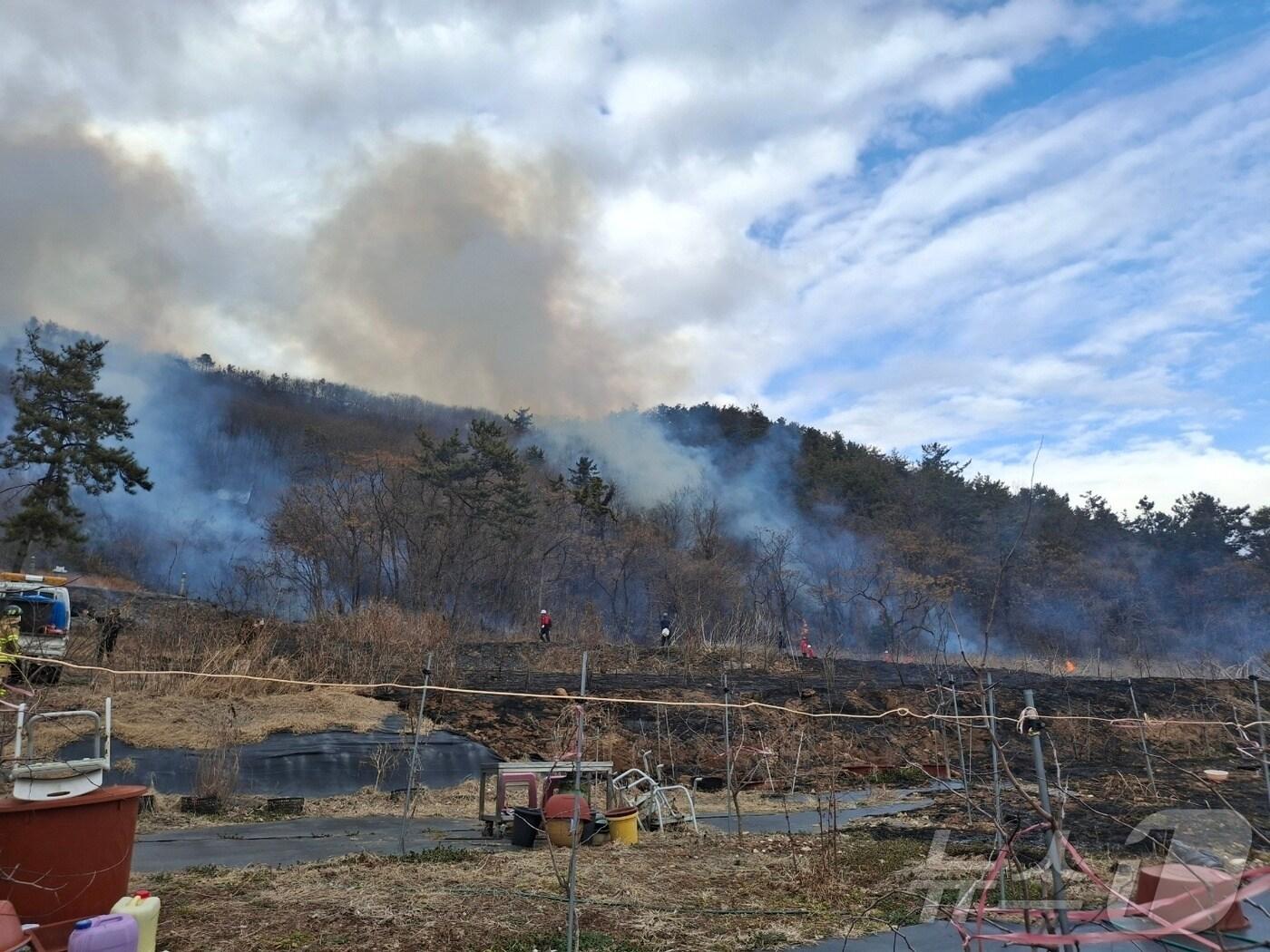 본문 이미지 - 27일 오후 3시 32분쯤 전남 무안군 일로읍의 한 야산에서 불이 나 산림당국이 진화작업을 하고 있다. (산림청 제공. 재판매 및 DB 금지) 2025.2.27/뉴스1 