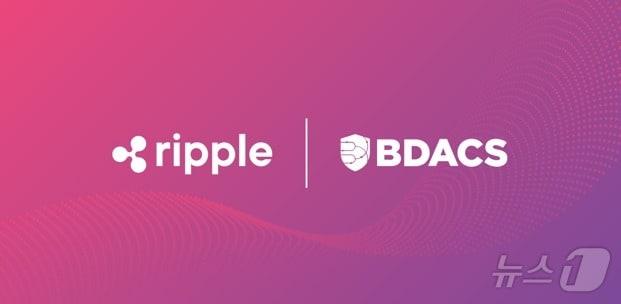 본문 이미지 -  (비댁스 제공.)