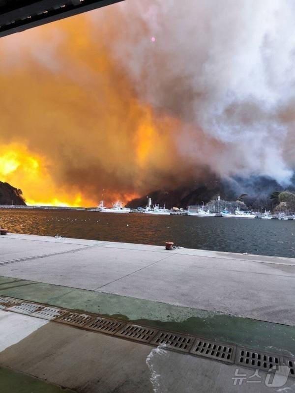 본문 이미지 - 일본 이와테현에서 발생한 산불이 27일&#40;현지시간&#41; 이틀째 확산되면서 피해가 커지고 있다. &#40;출처=엑스 갈무리&#41; 2025.2.27./뉴스1