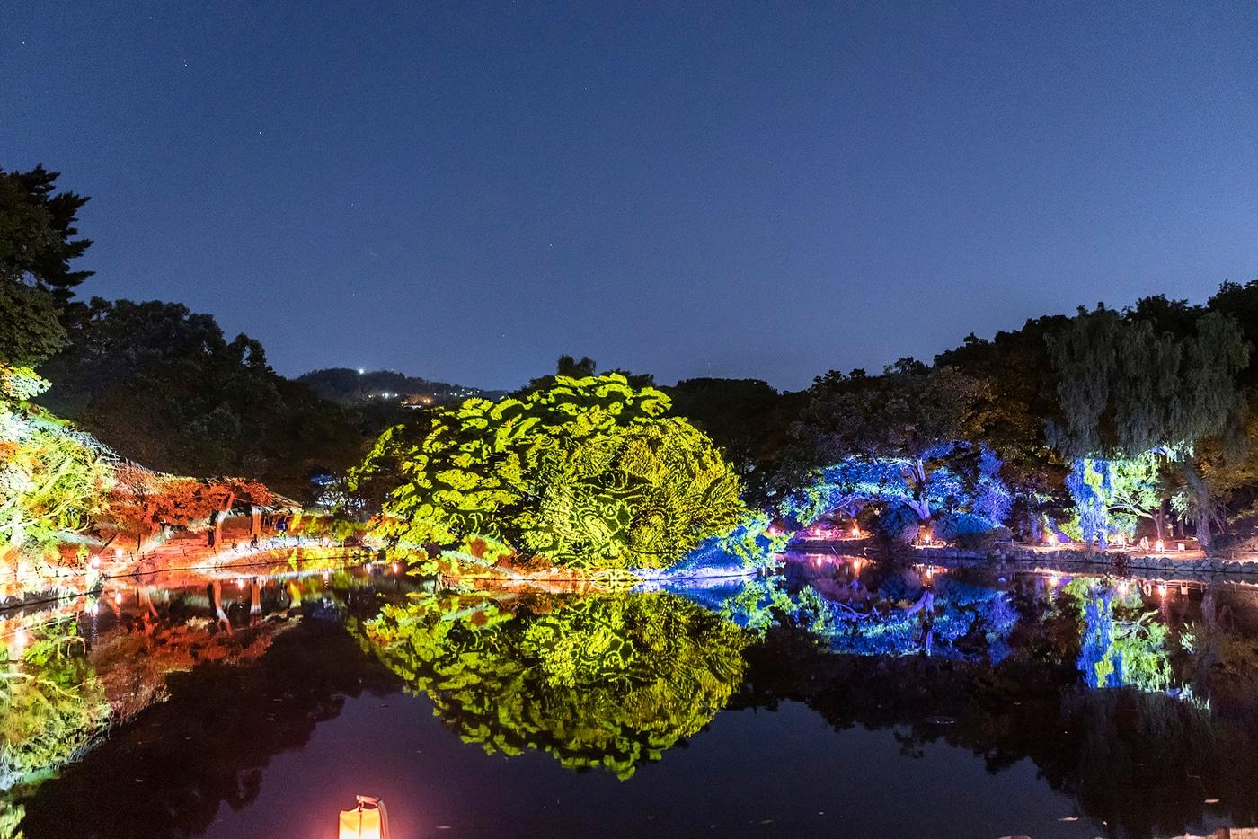 지난해 가을 창경궁 대춘당지 전경&#40;국가유산청 제공&#41;