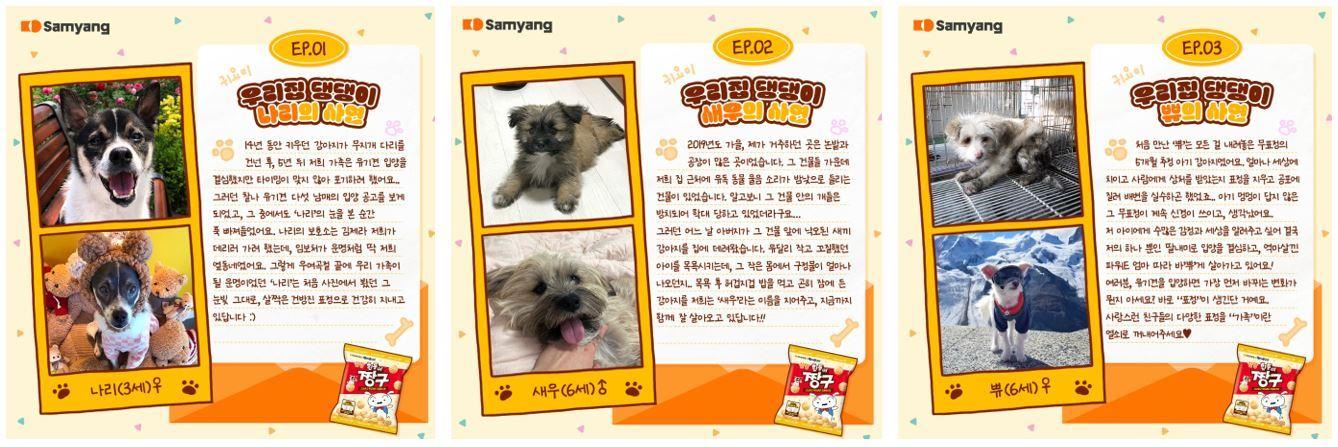 본문 이미지 - [사진자료] ‘우리집 댕댕이 자랑대회’ 이벤트에 선정된 사연