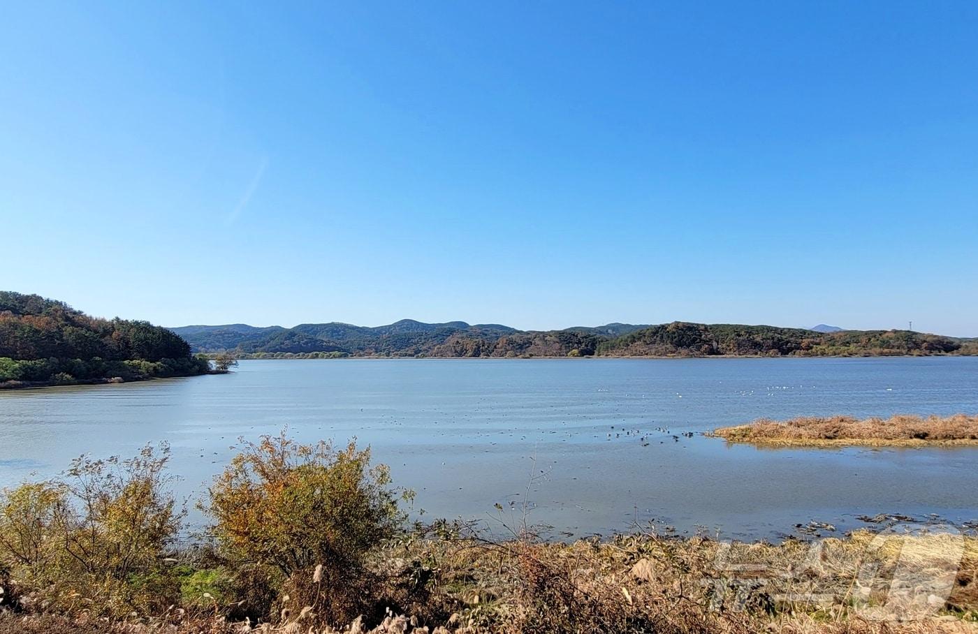 창녕 우포늪&#40;창녕군 제공. 재판매 및 DB금지&#41;.