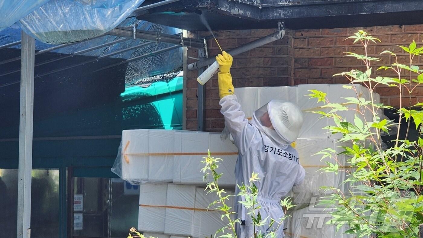 벌집 제거 자료사진.(경기도소방재난본부 제공, 재판매 및 DB 금지)