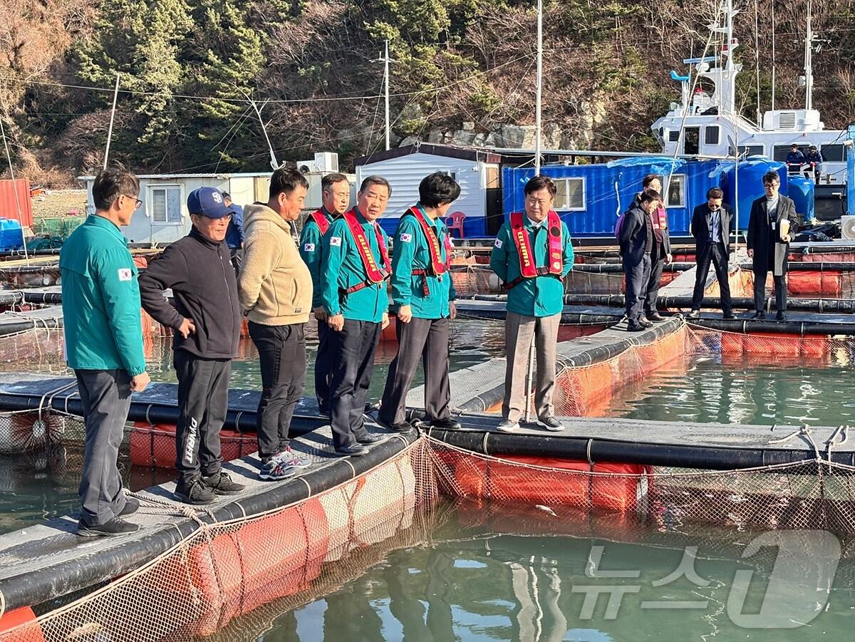 본문 이미지 - 정기명 여수시장이 29일 남면 화태리 어류 양식장을 찾아 현장을 둘러본 뒤 어업인을 만나 애로사항을 청취하고 있다.(여수시 제공. 재판매 및 DB 금지)2025.2.28/뉴스1