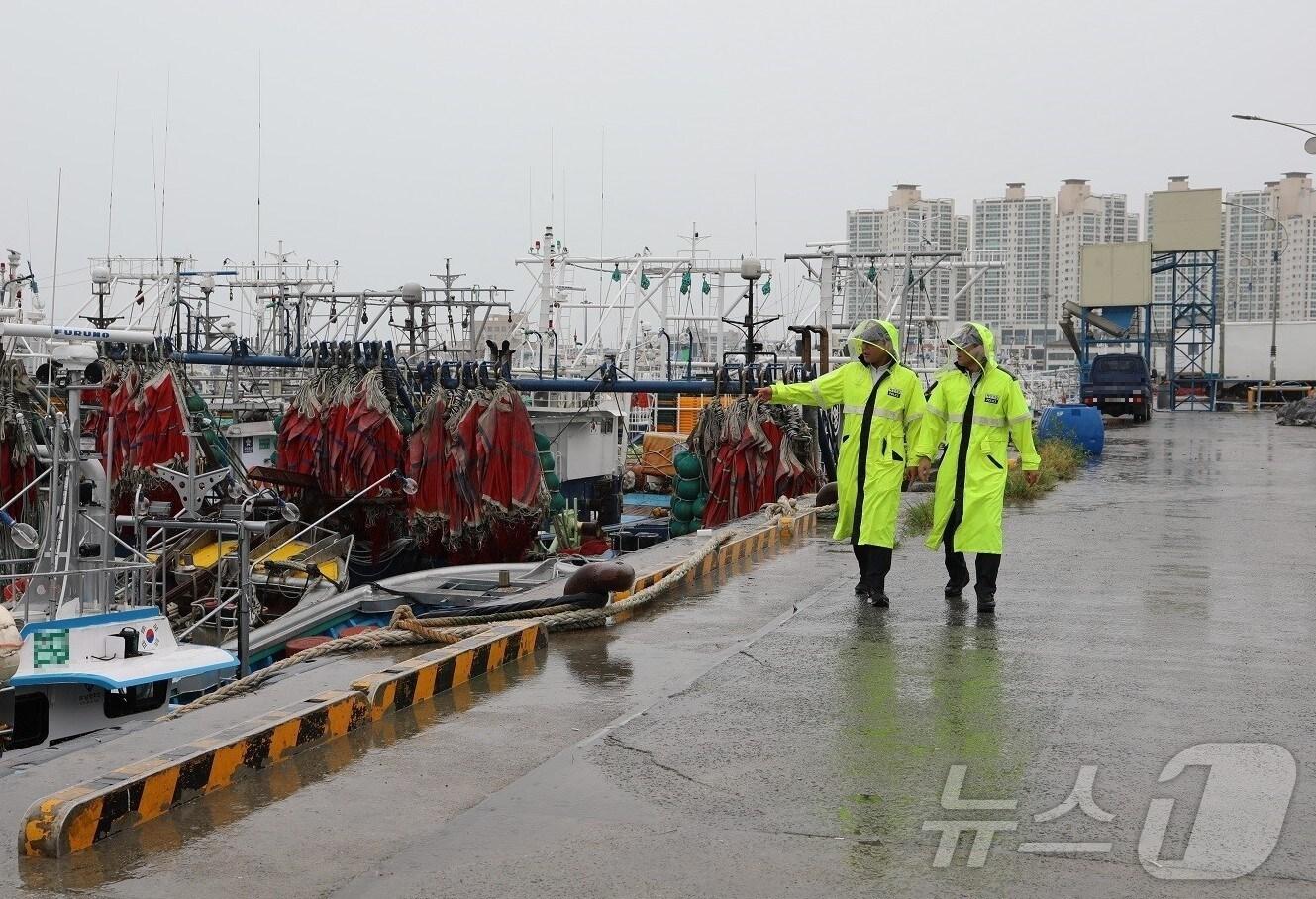 본문 이미지 - 항포구 순찰하는 목포해경. &#40;목포해경 제공&#41;/뉴스1
