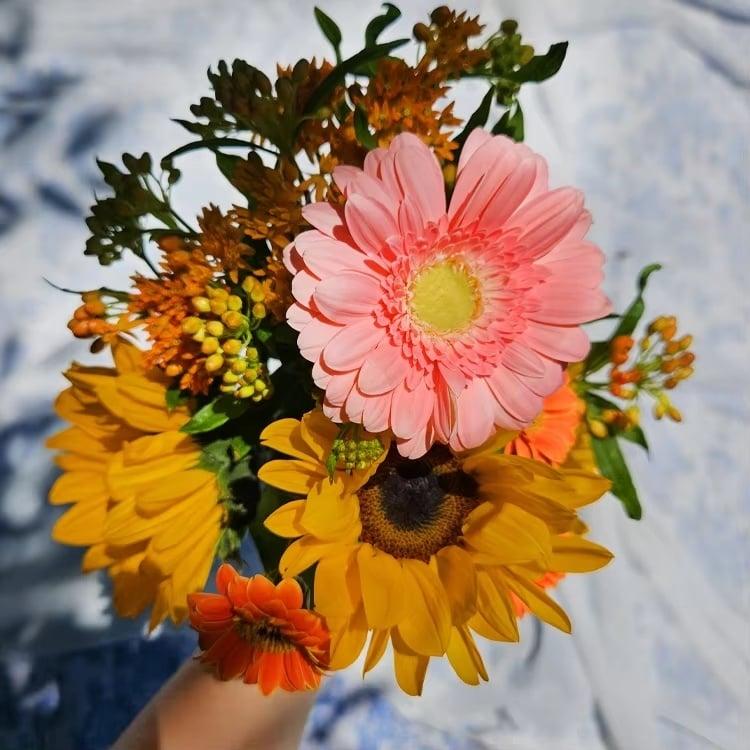 본문 이미지 -  (알리익스프레스 제공).