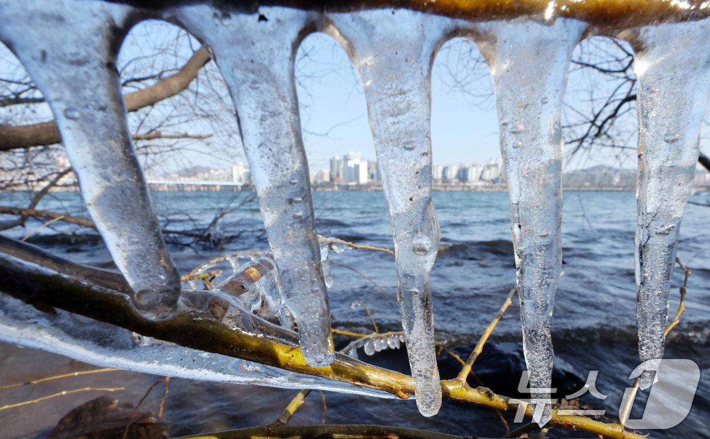 입춘 한파가 몰아친 3일 서울 여의도 한강공원 인근에 고드름이 얼어있다. 2025.2.3/뉴스1 ⓒ News1 이동해 기자