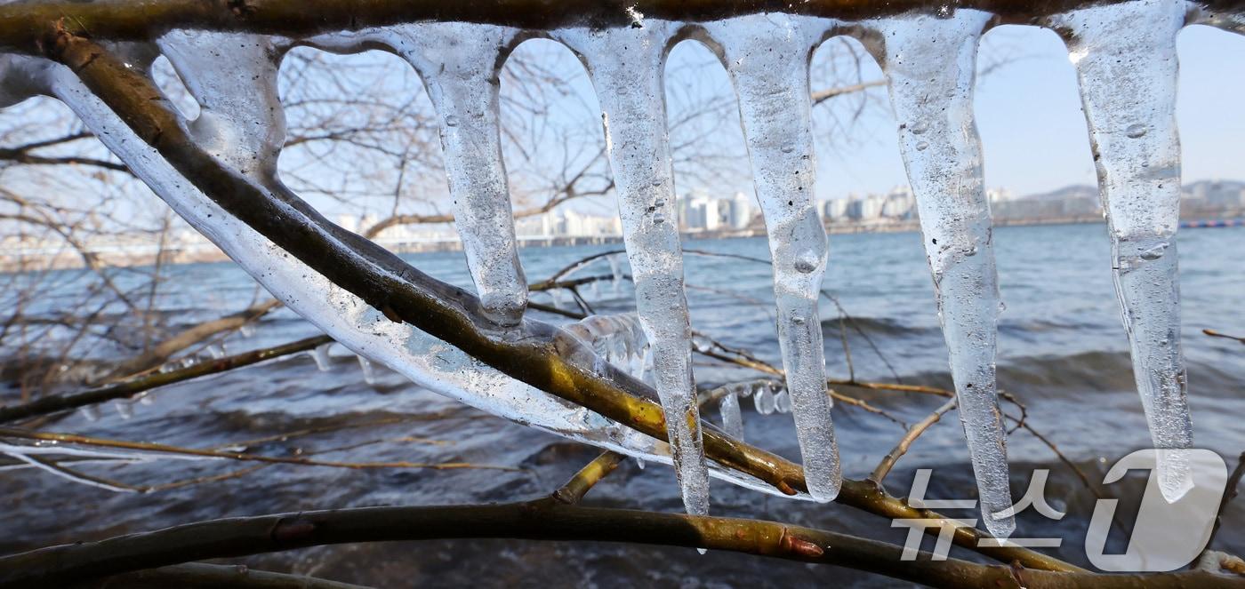 입춘 한파가 몰아친 3일 서울 여의도 한강공원 인근에 고드름이 얼어있다. 2025.2.3/뉴스1 ⓒ News1 이동해 기자