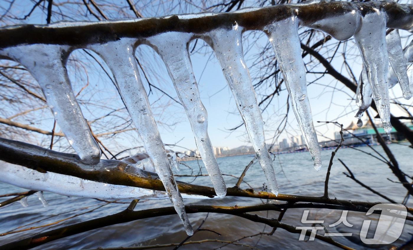 입춘 한파가 몰아친 3일 서울 여의도 한강공원 인근에 고드름이 얼어있다. 2025.2.3/뉴스1 ⓒ News1 이동해 기자