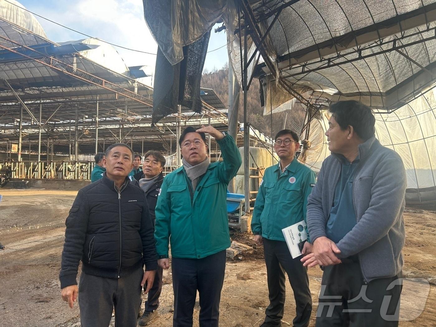 본문 이미지 - 3일 최병관 전북자치도 행정부지사가 완주군 비봉면 소재 폭설 피해 축산농가를 찾아 복구 및 지원 대책을 논의하고 있다.(전북자치도 제공)/뉴스1 