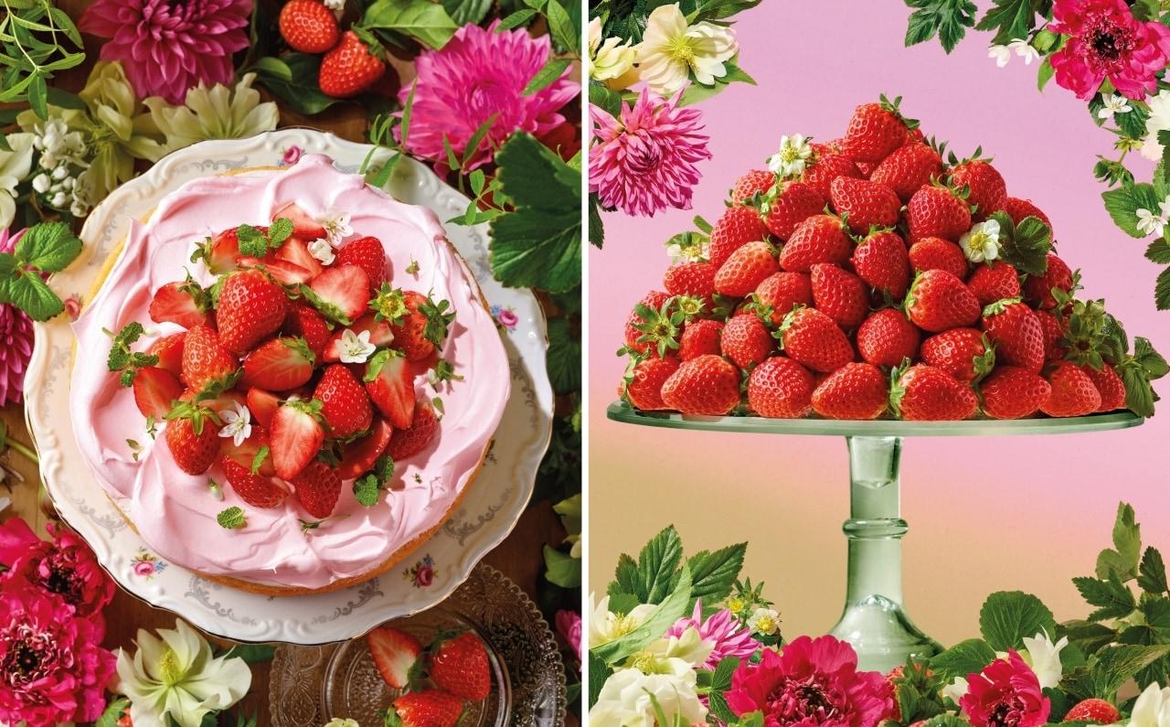 본문 이미지 - (이랜드 제공)