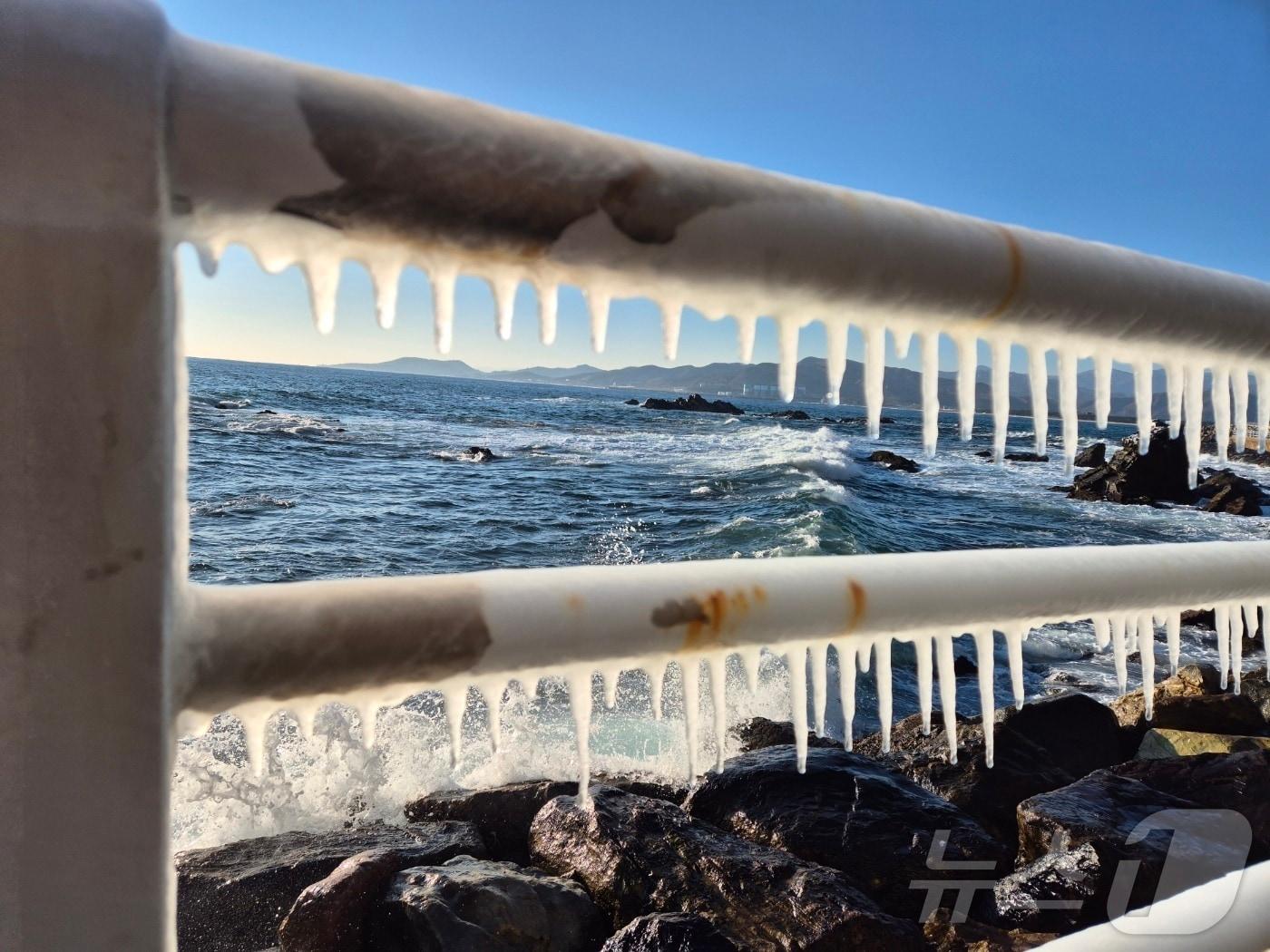 본문 이미지 - 강원 대부분 지역에 한파특보가 발효된 4일 동해안 대표 해안도로인 강릉시 강동면 헌화로 난간에 고드름이 달려 있다. 2025.2.4/뉴스1 ⓒ News1 윤왕근 기자